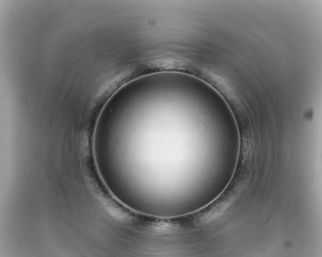X0000092010453200709131538