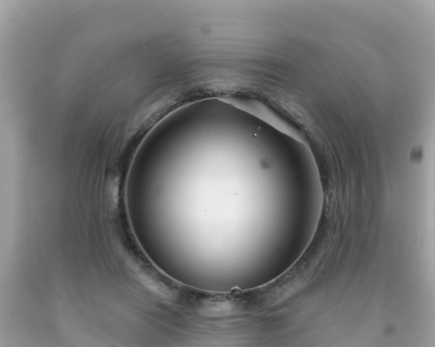 X0000092010454200709131538