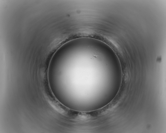 X0000092010455200709131538