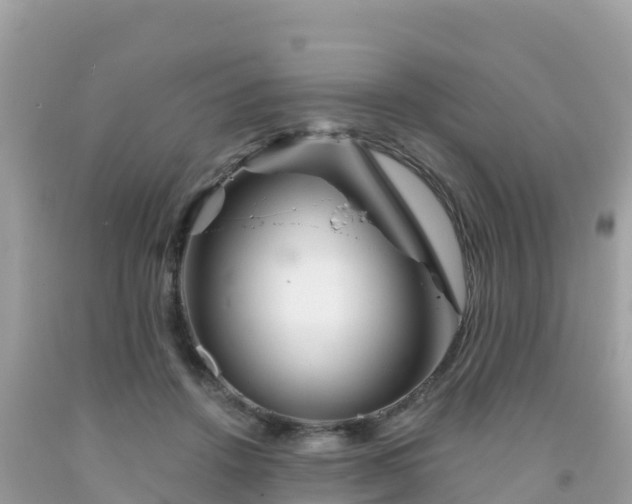 X0000092010456200709131538