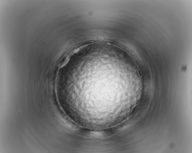 X0000092010457200709131538