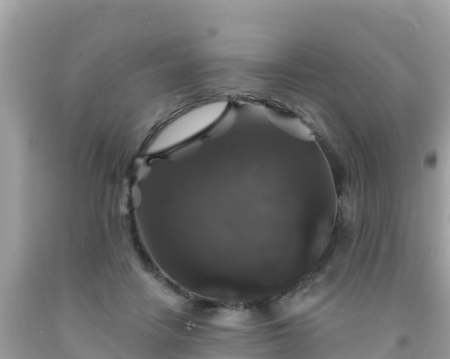 X0000092010458200709131538