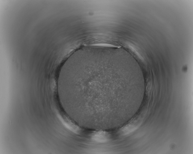 X0000092010459200709131538