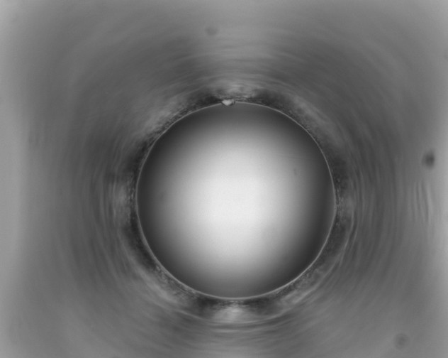 X0000092010460200709131538