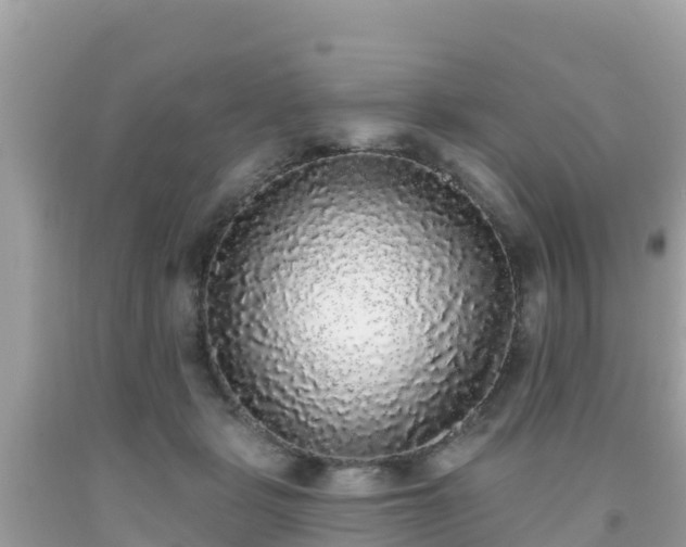 X0000092010461200709131538