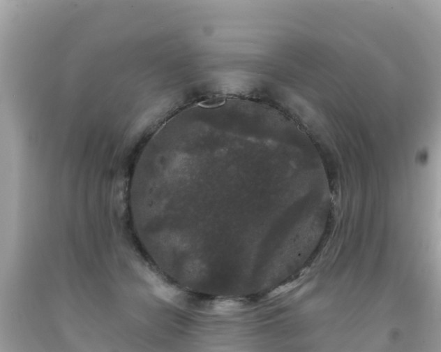 X0000092010462200709131538