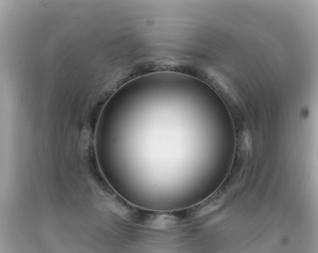 X0000092010463200709131538