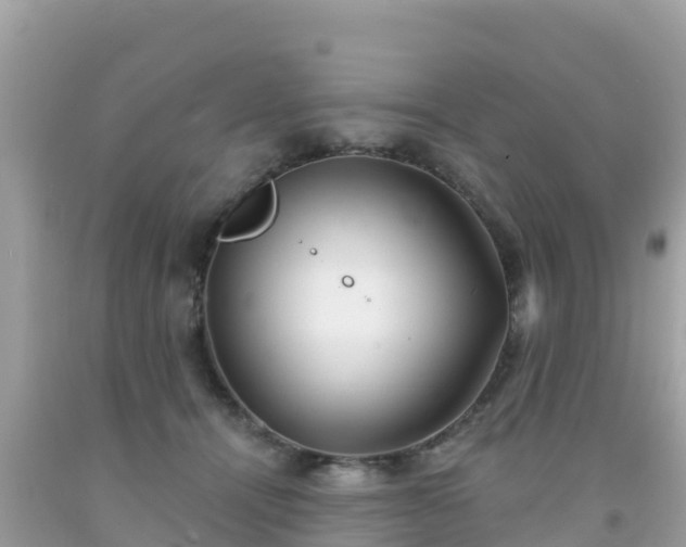X0000092010464200709131538