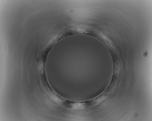 X0000092010465200709131538