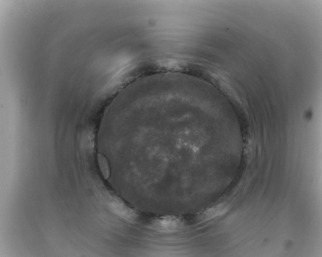 X0000092010466200709131538