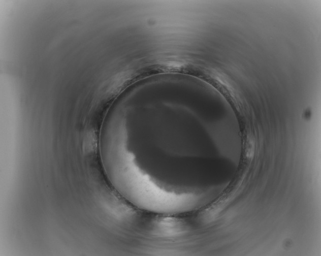 X0000092010467200709131538