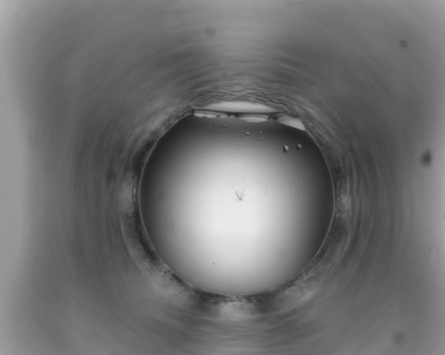 X0000092010468200709131538