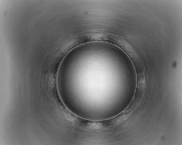 X0000092010469200709131538