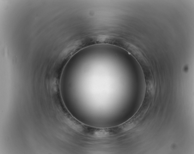 X0000092010470200709131538