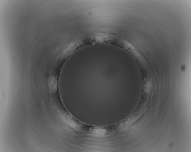 X0000092010471200709131538