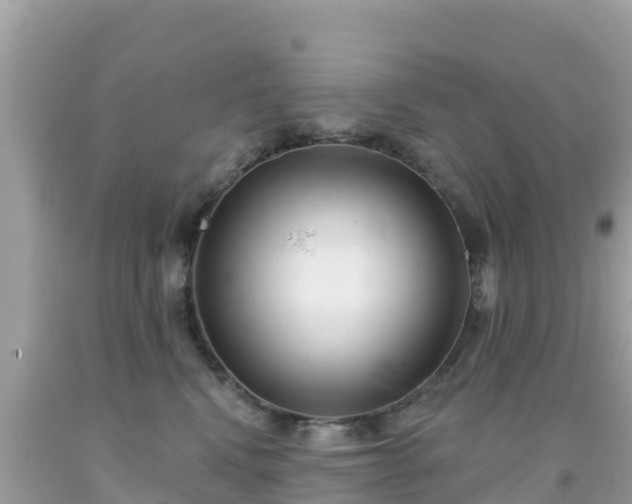 X0000092010472200709131538