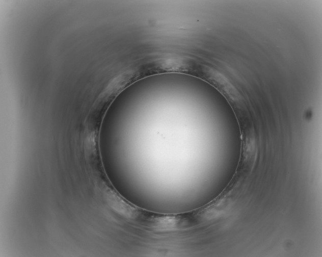 X0000092010473200709131538