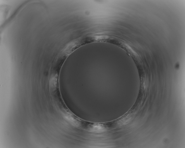 X0000092010475200709131538