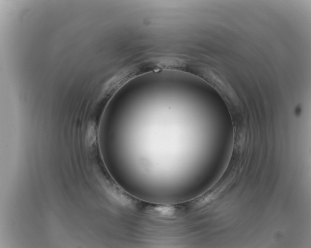 X0000092010478200709131538