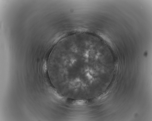 X0000092010479200709131538