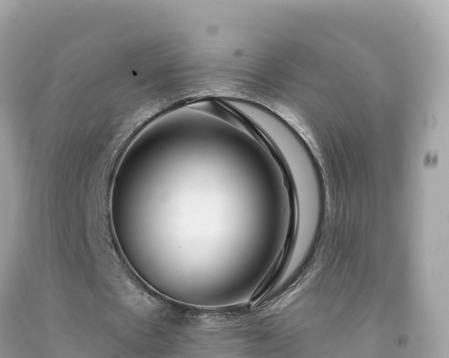 X0000092010481200709131538