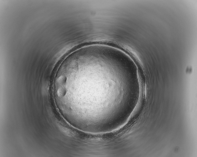 X0000092010483200709131538