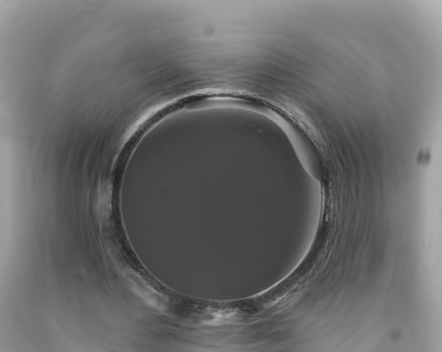 X0000092010484200709131538