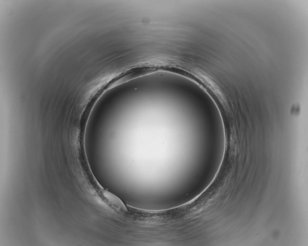 X0000092010485200709131538