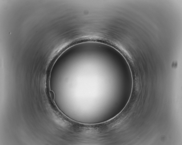 X0000092010486200709131538