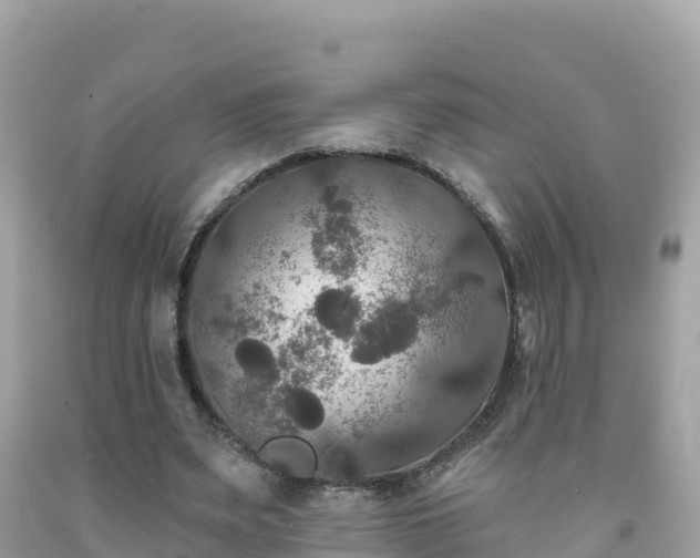 X0000092010487200709131538