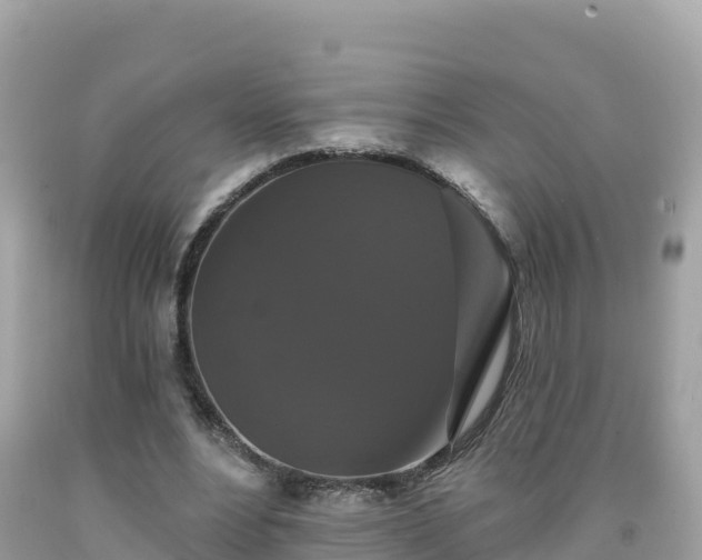 X0000092010488200709131538