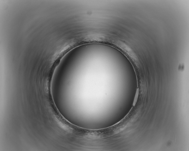 X0000092010489200709131538