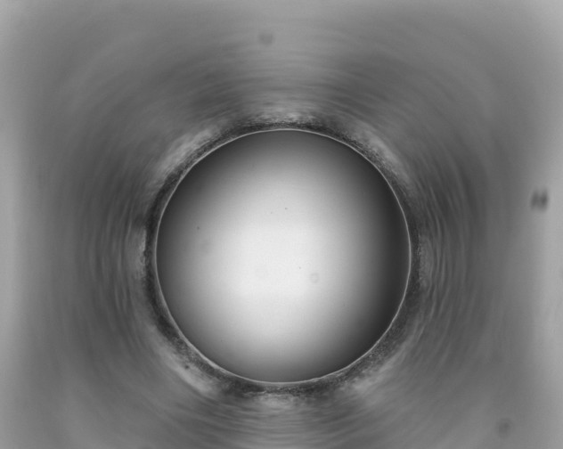 X0000092010490200709131538