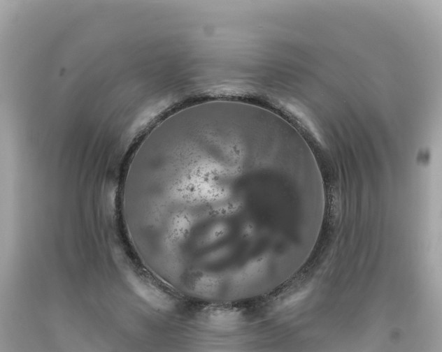 X0000092010491200709131538