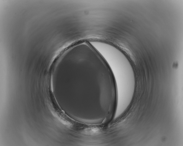 X0000092010492200709131538