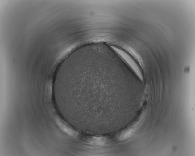 X0000092010493200709131538