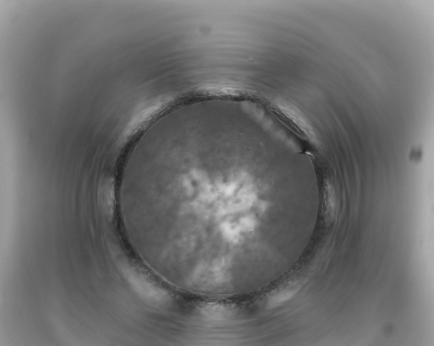 X0000092010494200709131538