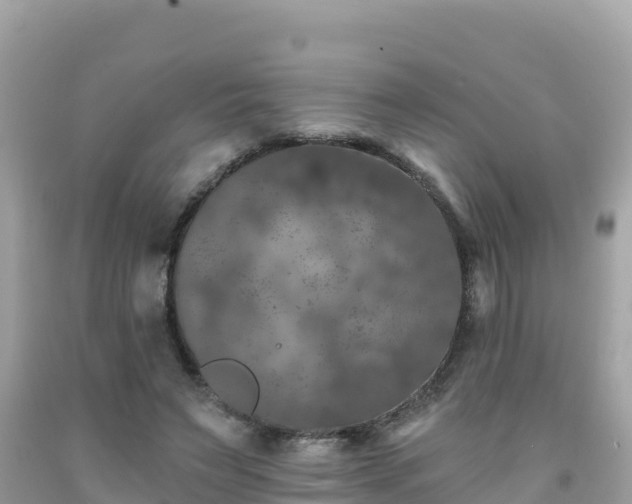 X0000092010495200709131538