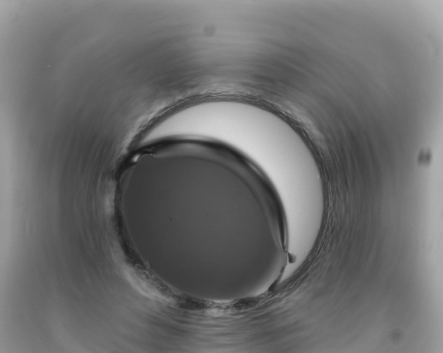 X0000092010496200709131538