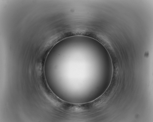 X0000092010498200709131538