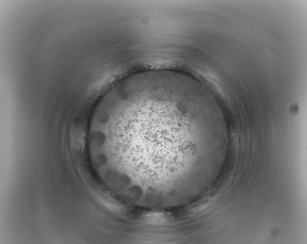 X0000092010499200709131538