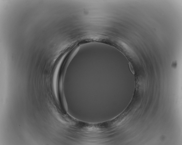 X0000092010500200709131538