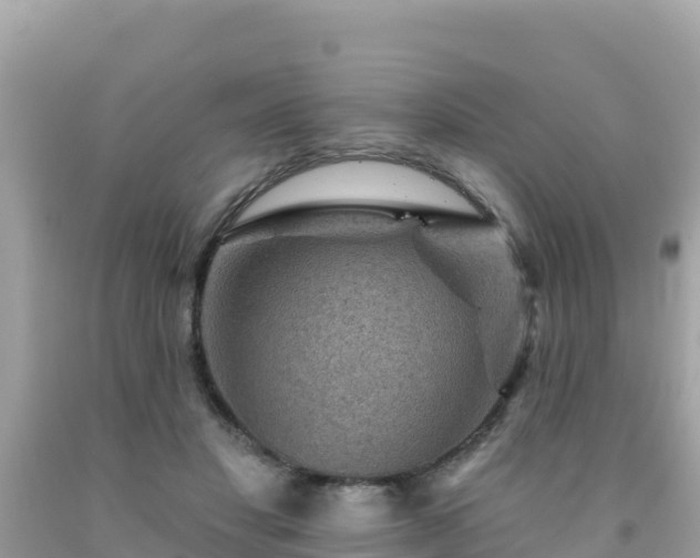 X0000092010501200709131538