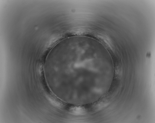 X0000092010503200709131538