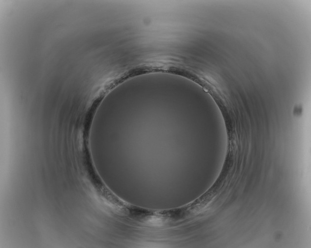 X0000092010504200709131538