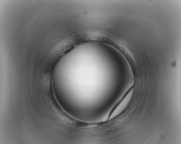 X0000092010505200709131538