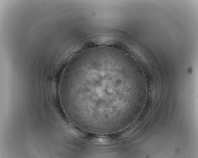 X0000092010506200709131538