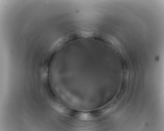 X0000092010507200709131538