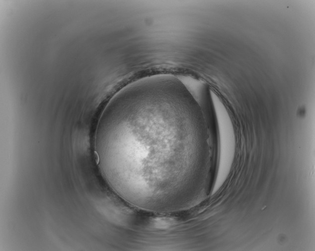 X0000092010508200709131538