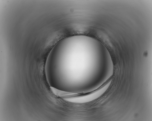 X0000092010509200709131538